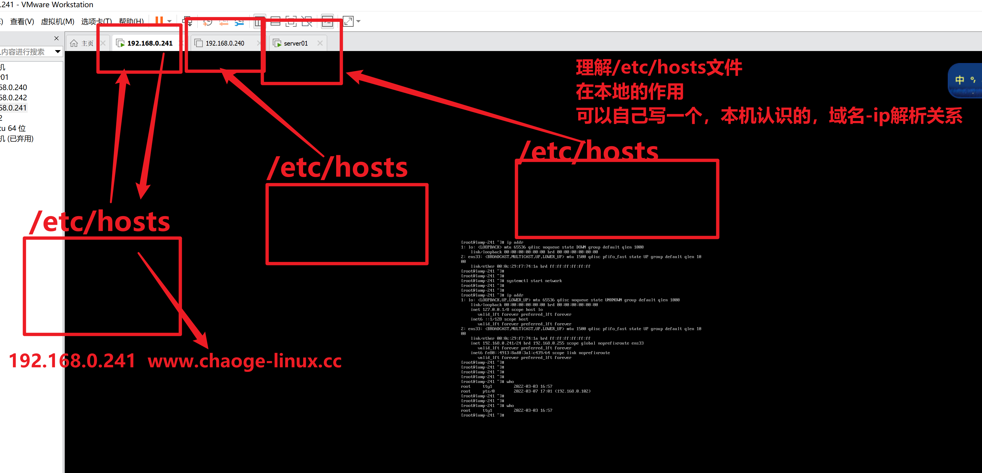 image-20220307100111061