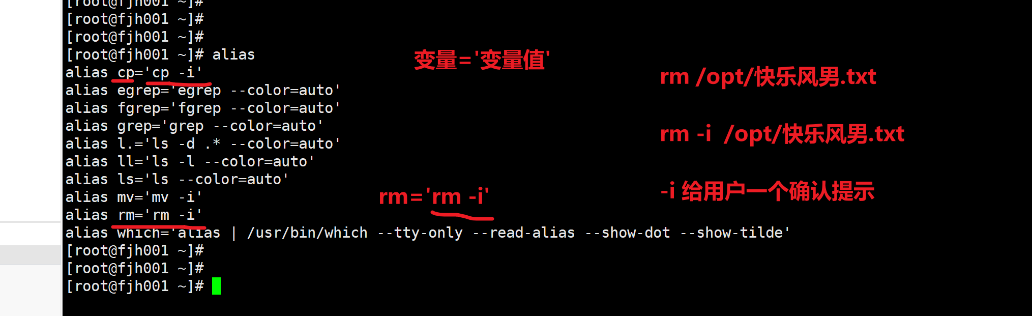 image-20220307114538409