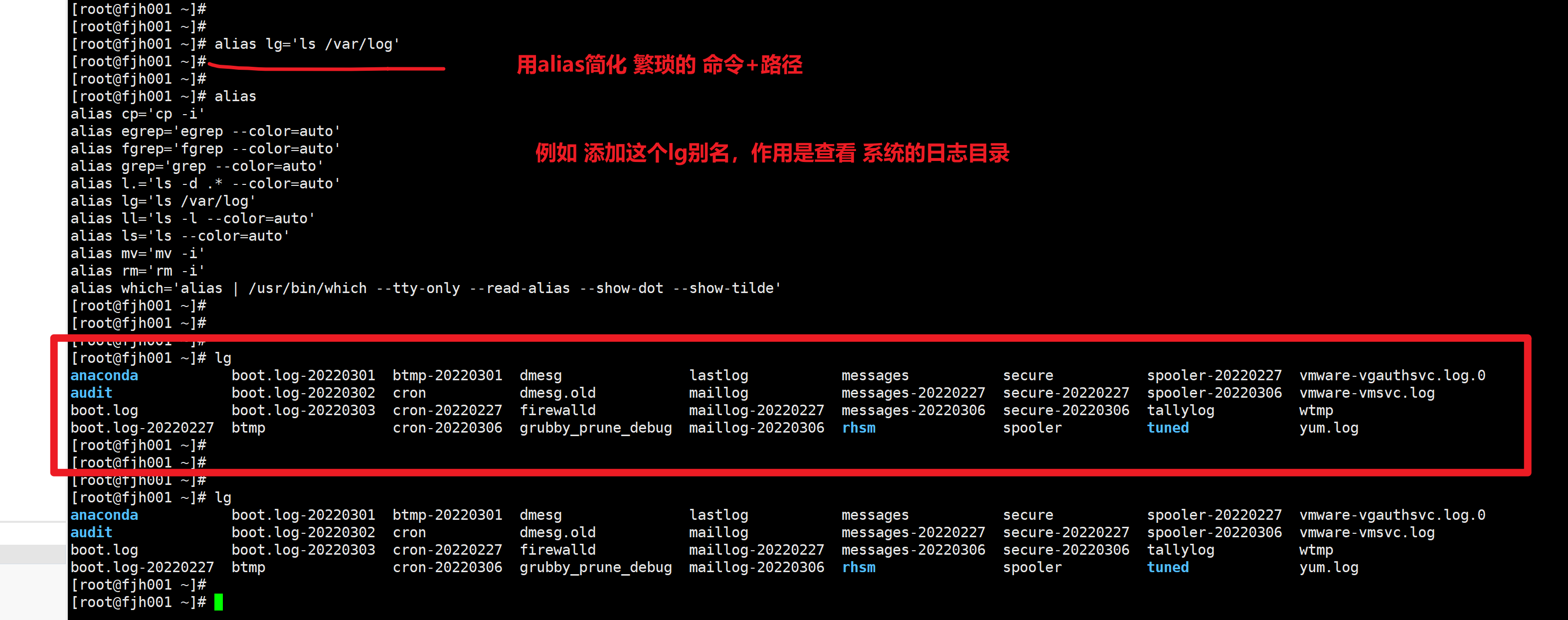 image-20220307115131891