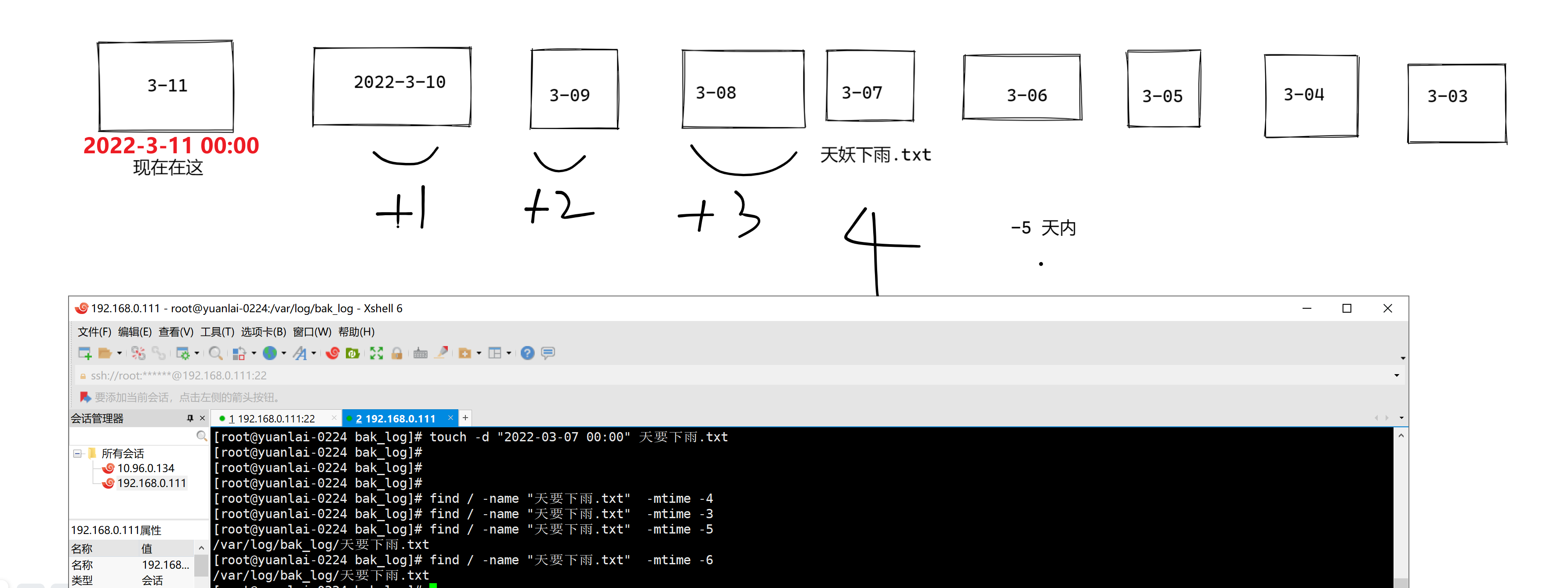 image-20220311102423974