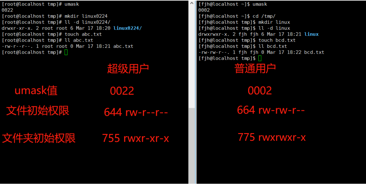image-20220317183127282