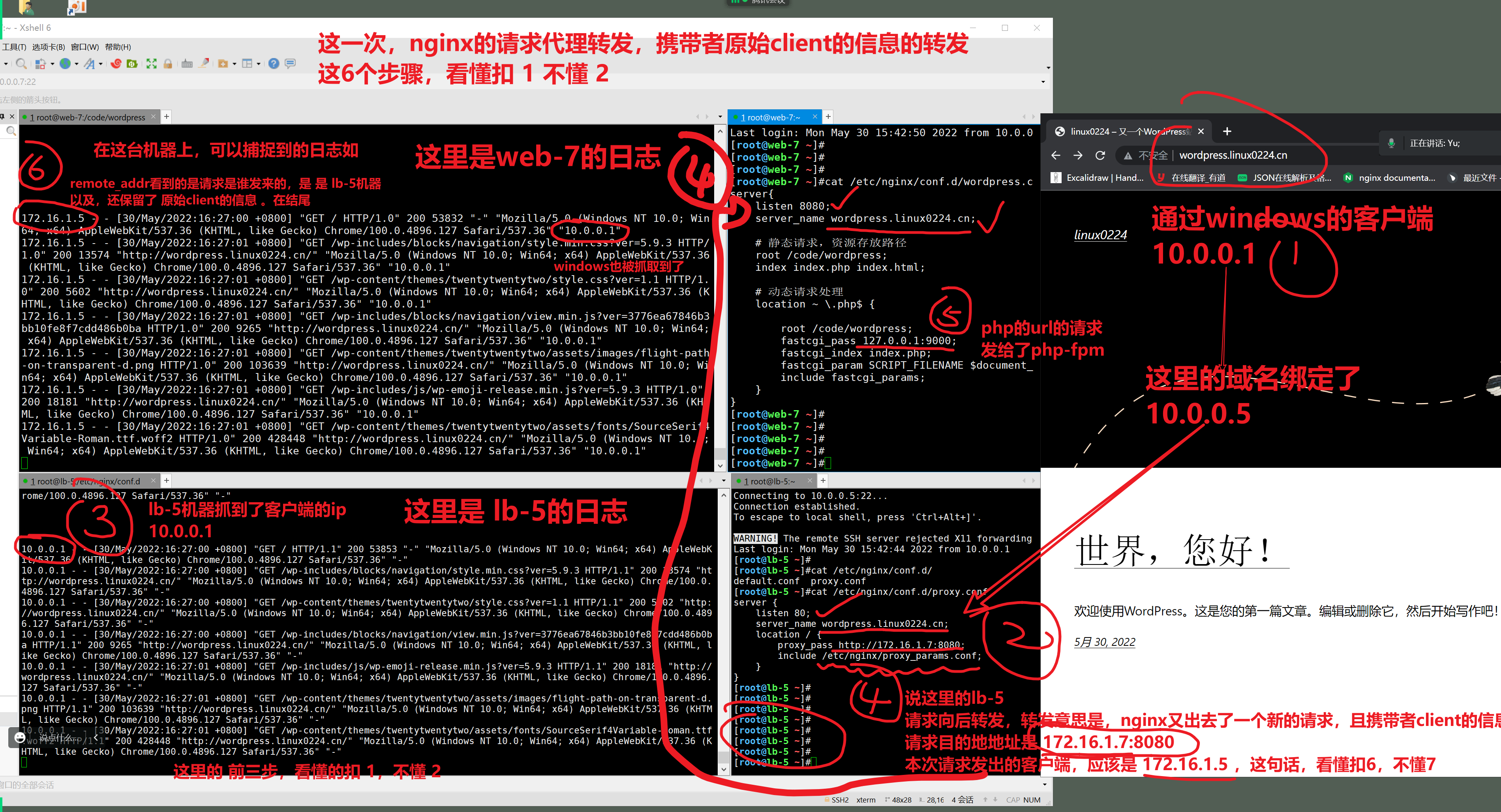image-20220530163259859