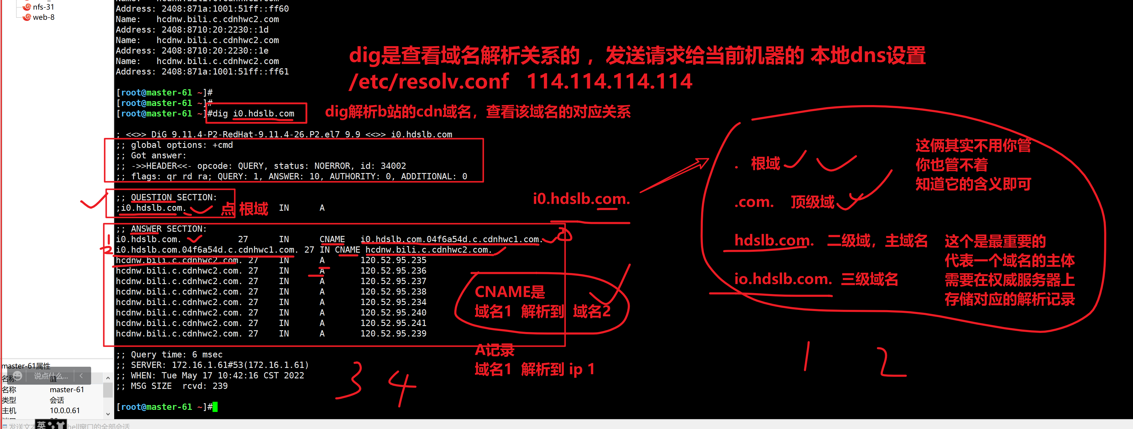 image-20220517104738326