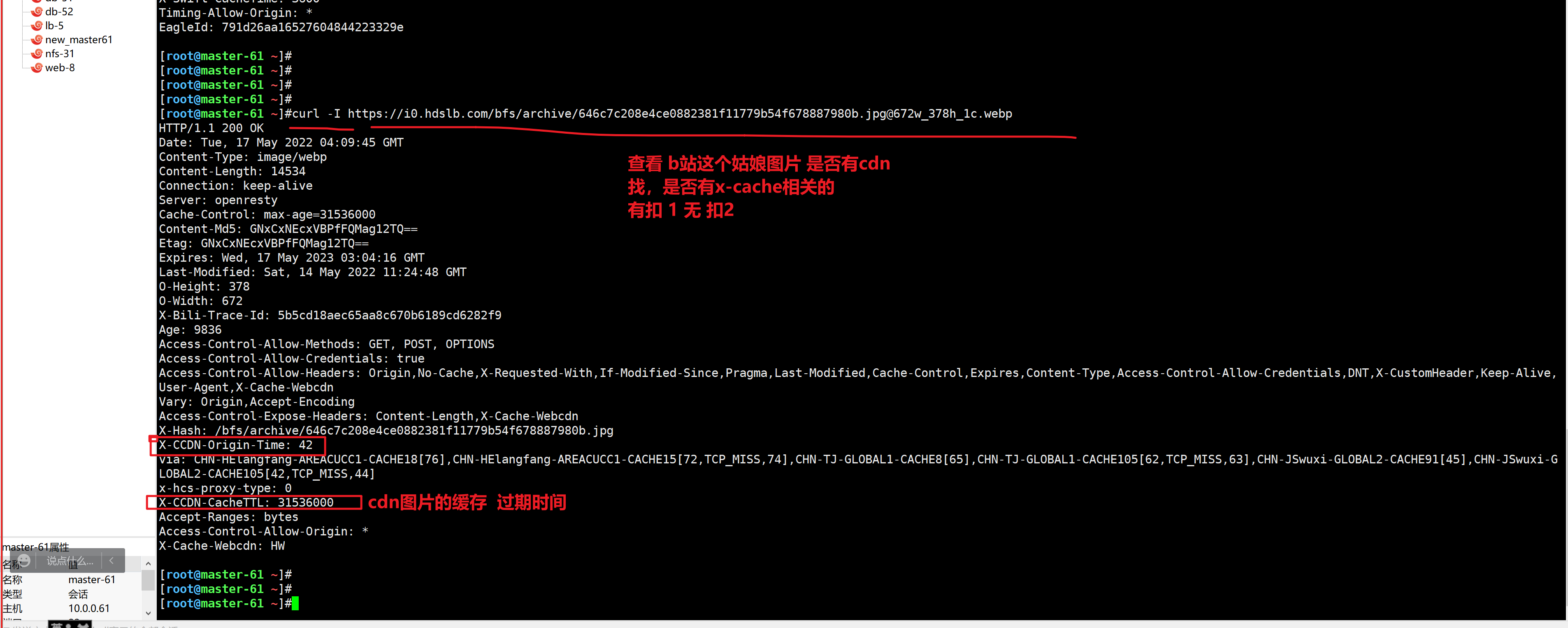 image-20220517121049582