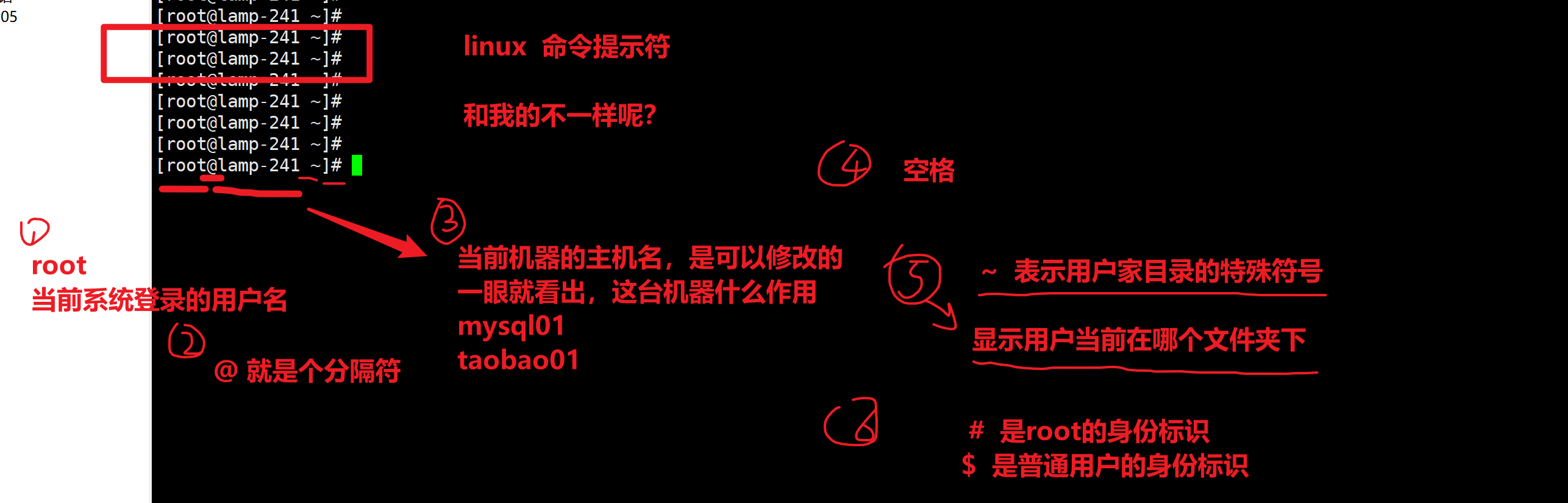 image-20220303145932496