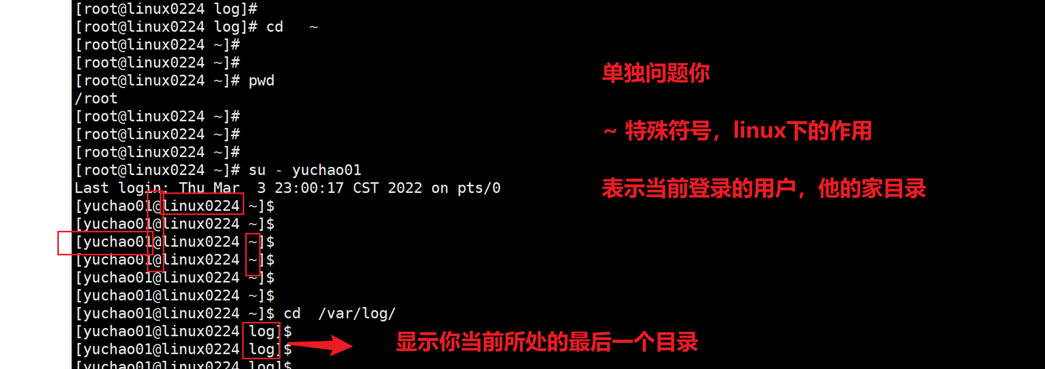 image-20220303151623428