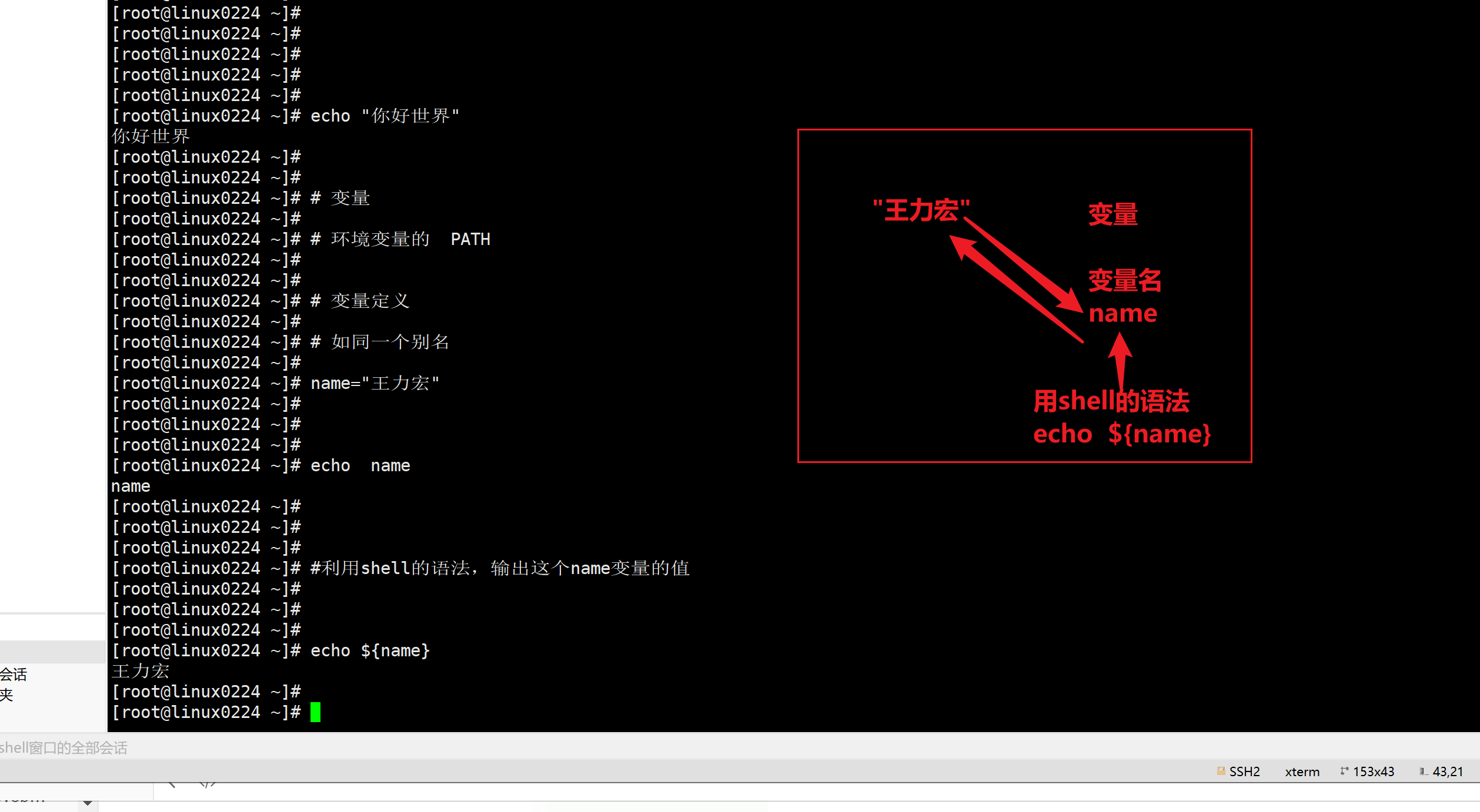 image-20220303155832461